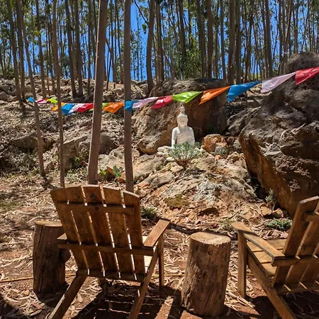 Eucalibrios-tenda Alecrim Campo de lujo Reguengo Grande