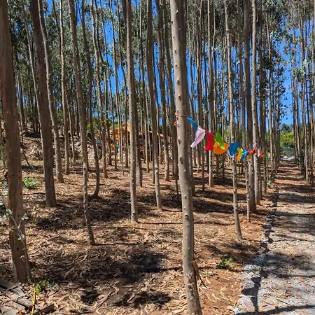 Eucalibrios-tenda Alecrim * Reguengo Grande