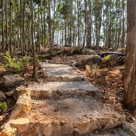 Eucalibrios-tenda Alecrim Campo de lujo