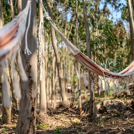 Eucalibrios-tenda Alecrim Campo de lujo Reguengo Grande