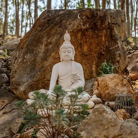 Campo de lujo Eucalibrios-tenda Alecrim Reguengo Grande