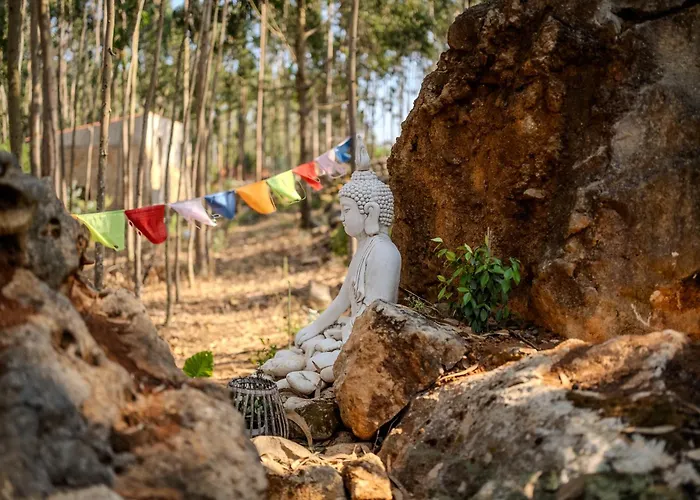 Eucalibrios-tenda Alecrim Reguengo Grande